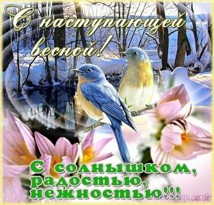 Весенние надежды