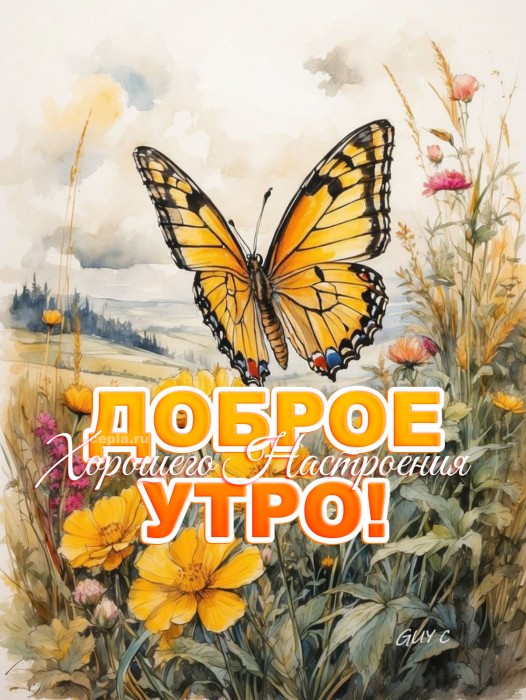 Утренняя свежесть