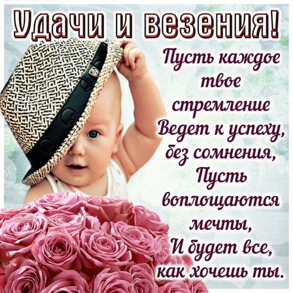 Долгожданная птица удачи