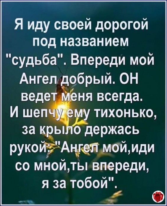 Читая про чужие судьбы