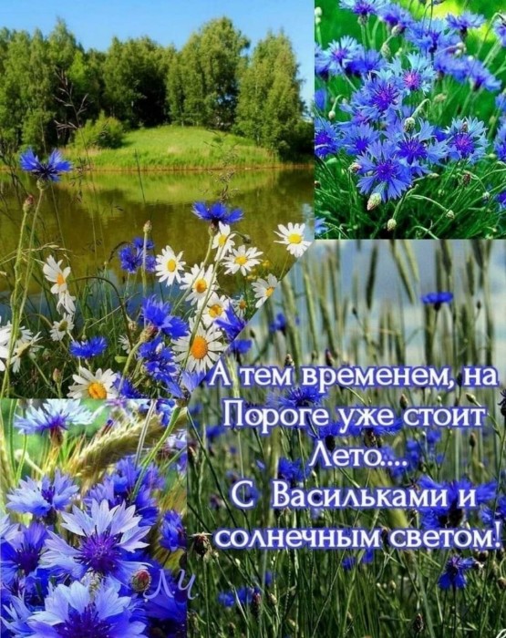 На пороге лето