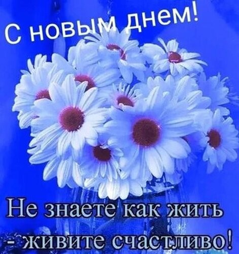 Пожелания