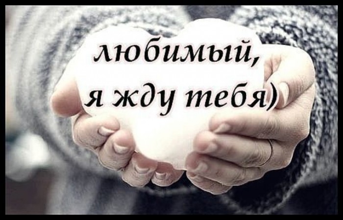 Мой долгожданный