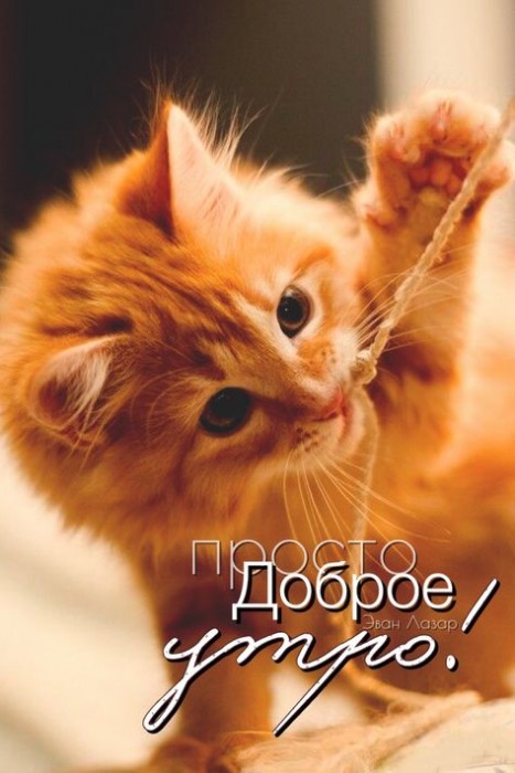 Его назвали Осень