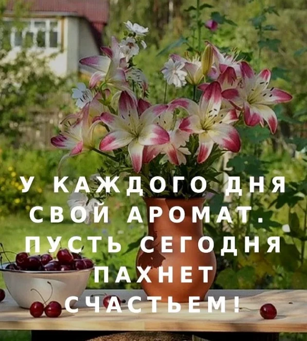 Счастье в дом стучится