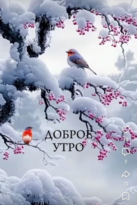 Этюд январский