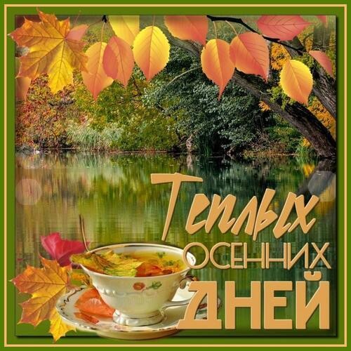 Мои желания