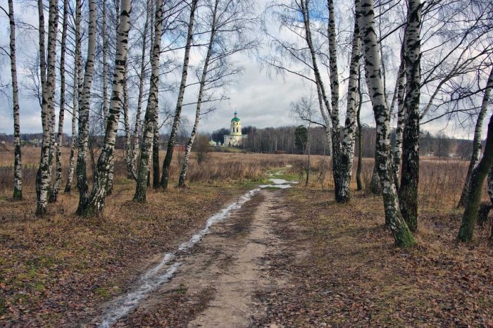 Потеряли рощи свой наряд