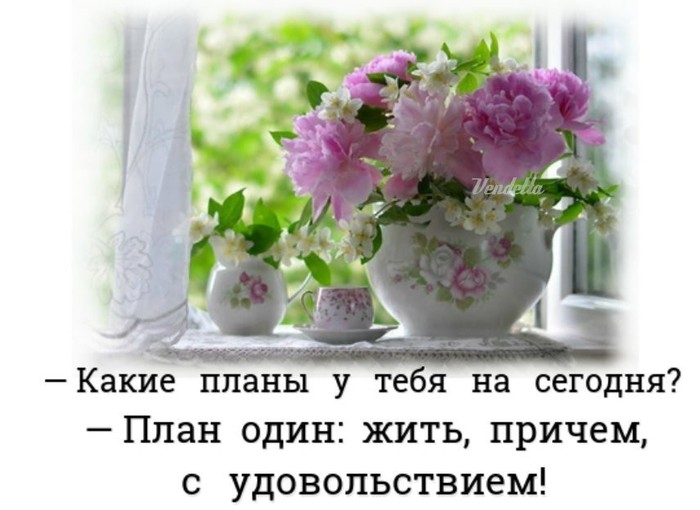 На сегодня планы
