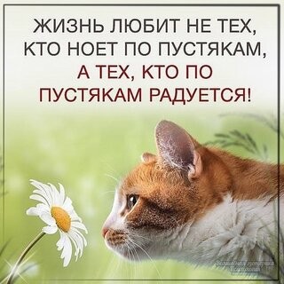 Мы строим планы
