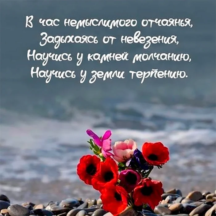Загадки жизни