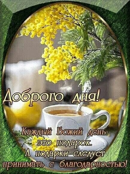 Каждый день