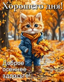 Новый день