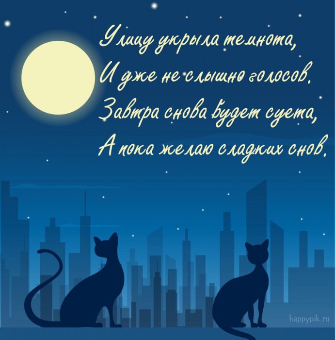 Погрузился город в сон