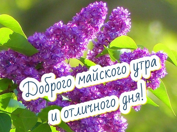 Вторая половина мая