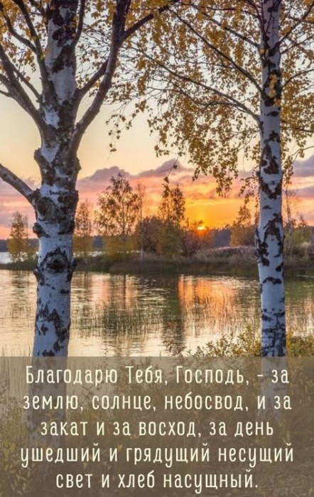 Всё создано Богом