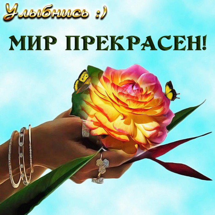 Мир прекрасен