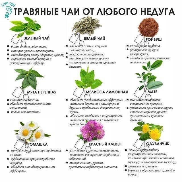 Полезные травы