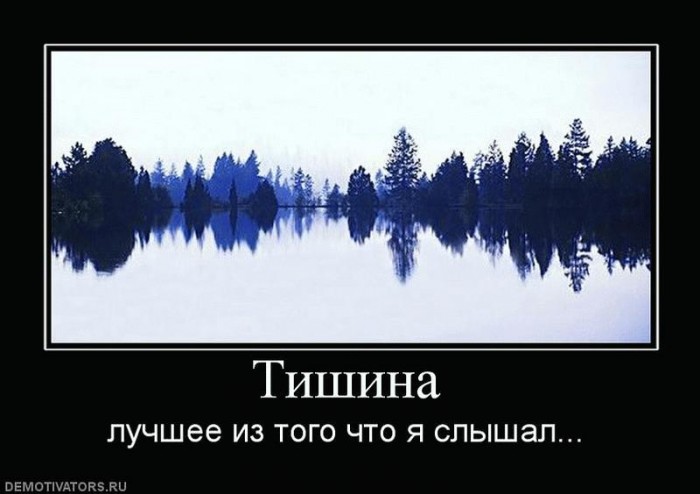 Звуки тишины