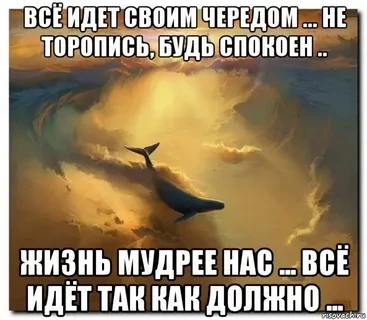 Если всё идёт не так