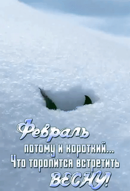 Признался февраль