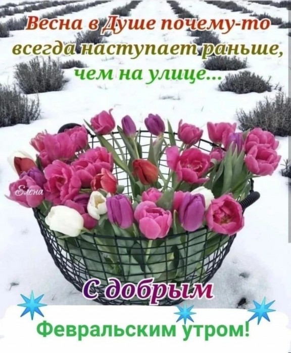 С добрым зимним днём