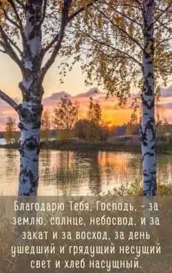 Всё создано Богом