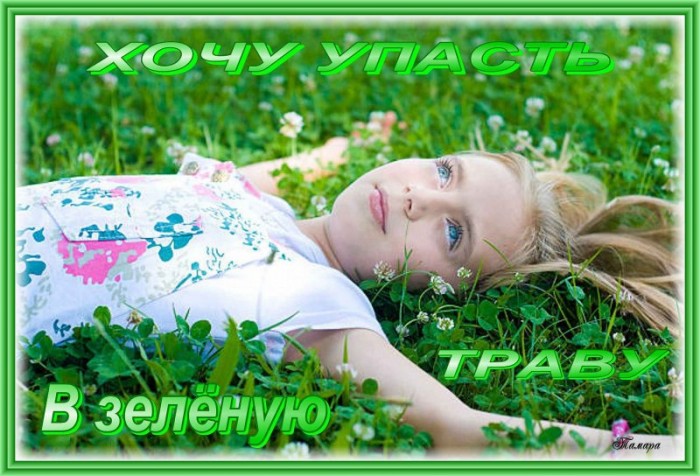 Хочется в травы упасть