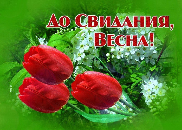 До свиданья, весна
