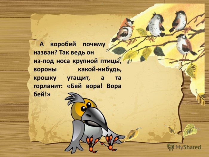 Смешные воробышки