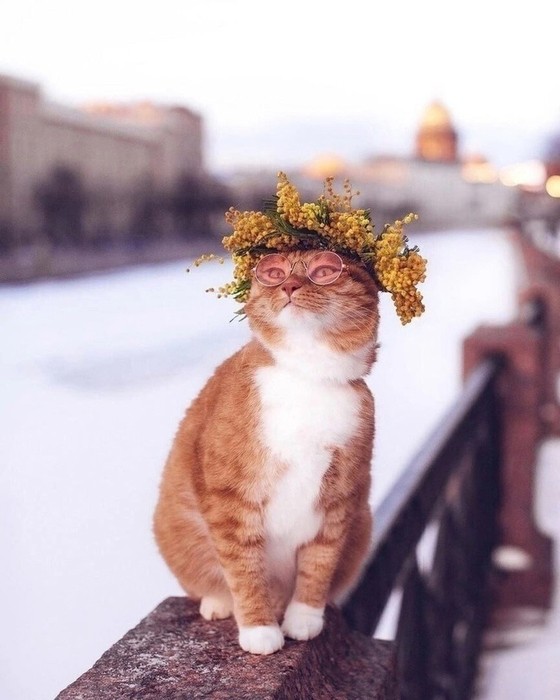 Я тоже жду весну