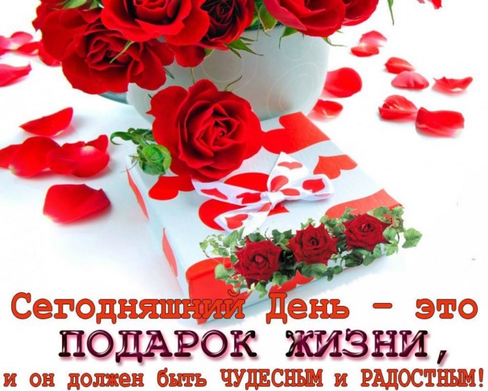 День любой