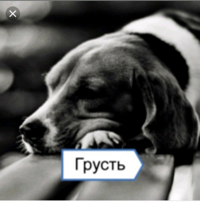 Слово грустить. Открытки грустно. Настроение грустинка. Грустно надпись. Грустные картинки с надписями.