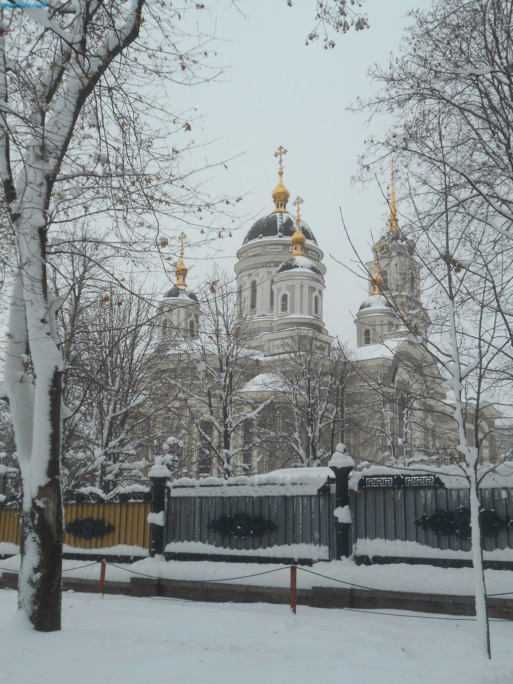 Донецкая зима