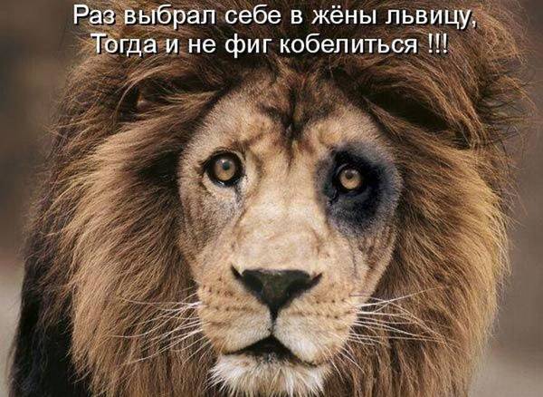 Жизнь прекрасна...
