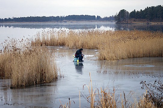 Первая рыбалка на Томских северах