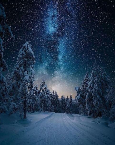 Снежинки - нежные звёзды