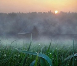 Тает лето, на излёте звёздный август