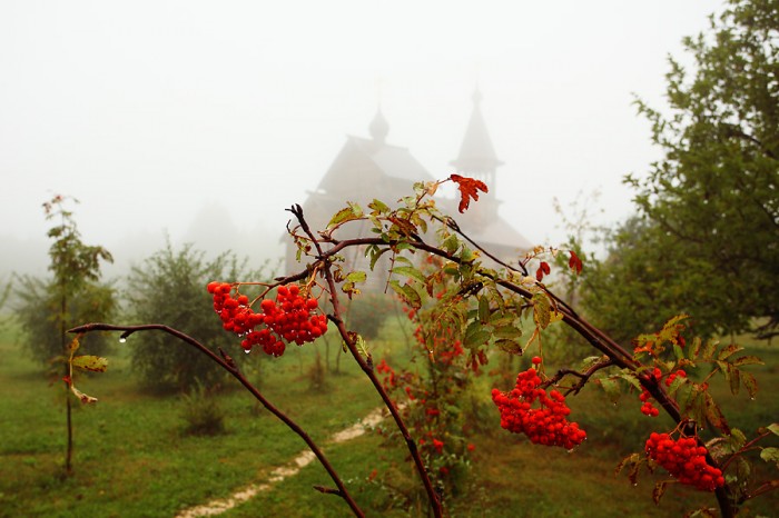 Последние страницы лета