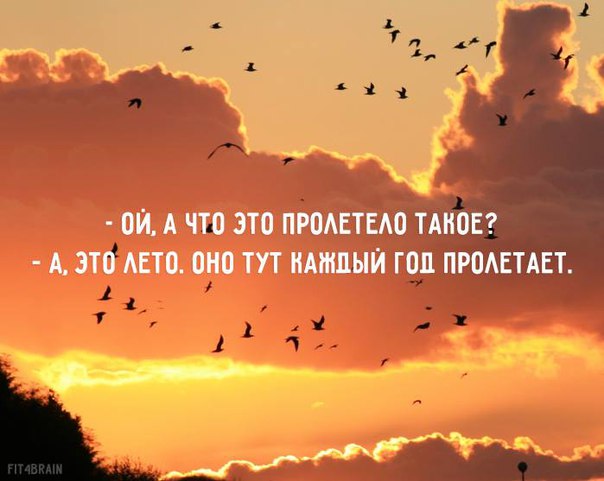 Прощай лето!