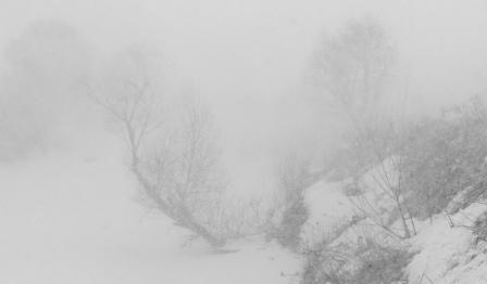 Сегодня последний день зимы, значит завтра первый день весны.