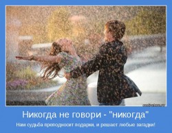 Никогда