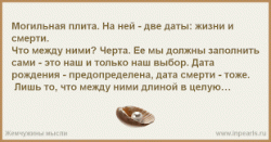 Геометрия жизни