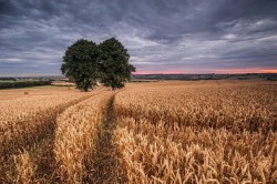 За перо и бумагу в раздумье берусь…