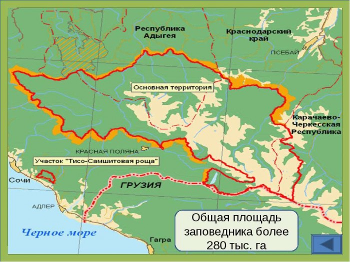 Про некоторые особо охраняемые природные территории