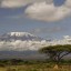 Про Килиманджаро