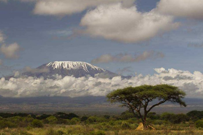 Про Килиманджаро