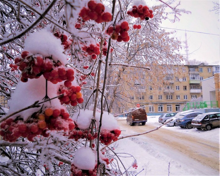 Снова сыплет снежок