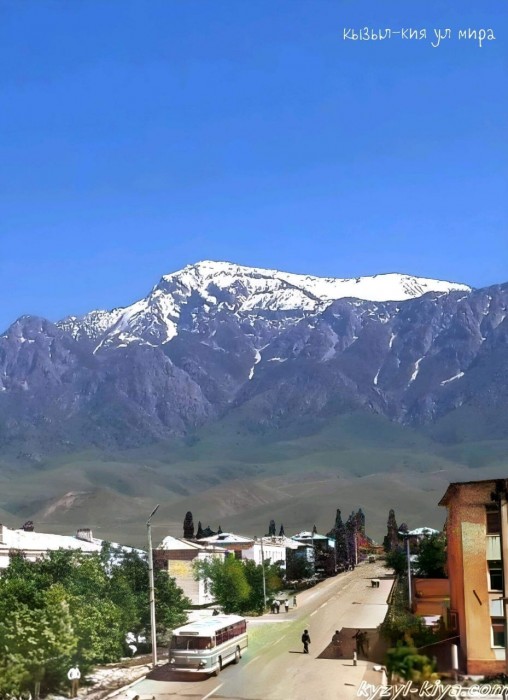 Улица Мира