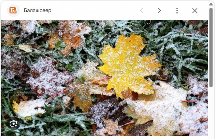 Бродячий колорадский жук...